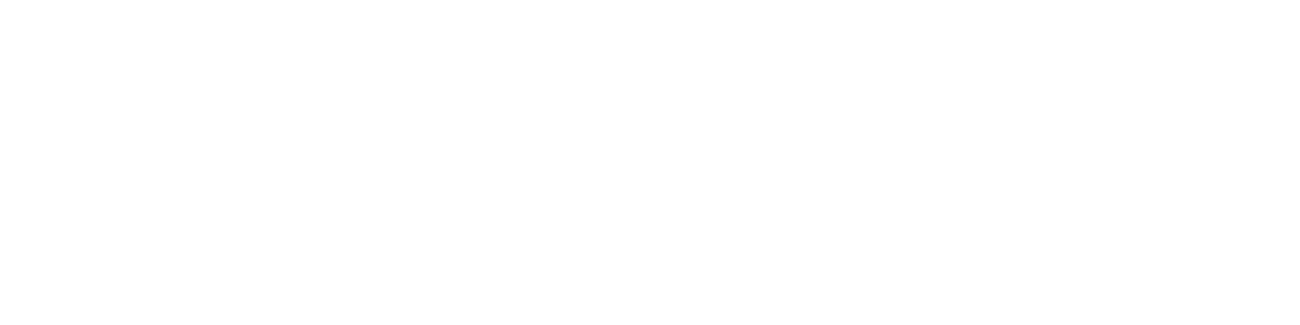 Logo Công ty TNHH Xuất Nhập Khẩu Sunny Việt Nam