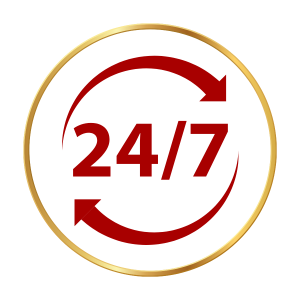 Icon hỗ trợ toàn cầu 24.7