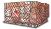 Container hàng không
