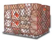 Container hàng không