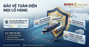 Bảo hiểm hàng hóa quốc tế: Tại sao Sunny chọn AIG và Bảo Việt