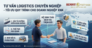 Tư vấn Logistics chuyên nghiệp: Tối ưu quy trình cho doanh nghiệp XNK
